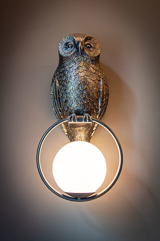 common-Owl-Light
