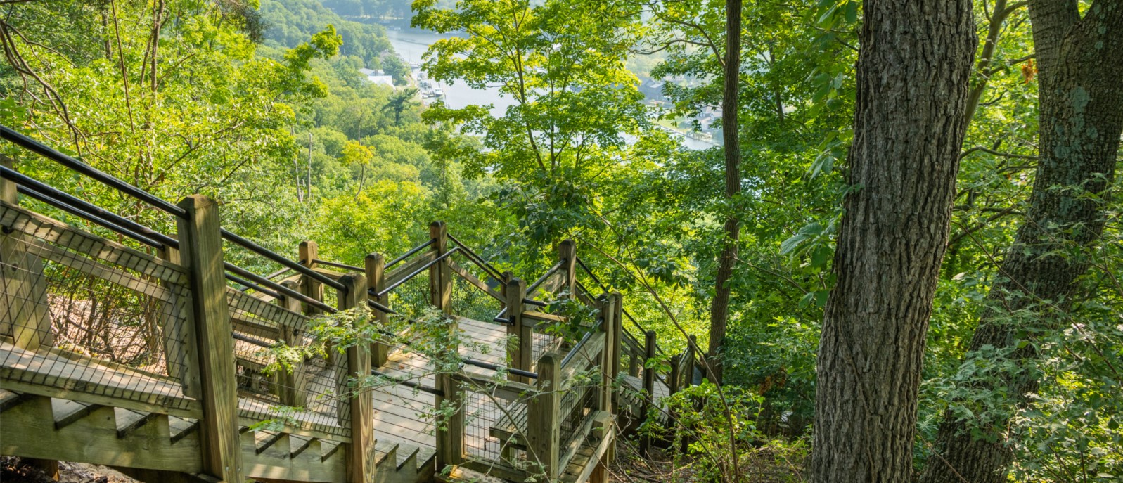 mt. baldhead state park view from top of stairs