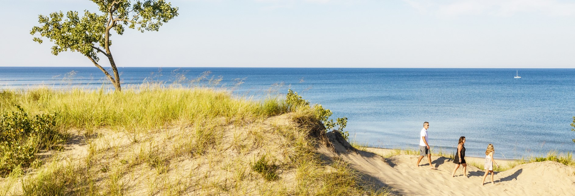 saugatuck harbor natural area