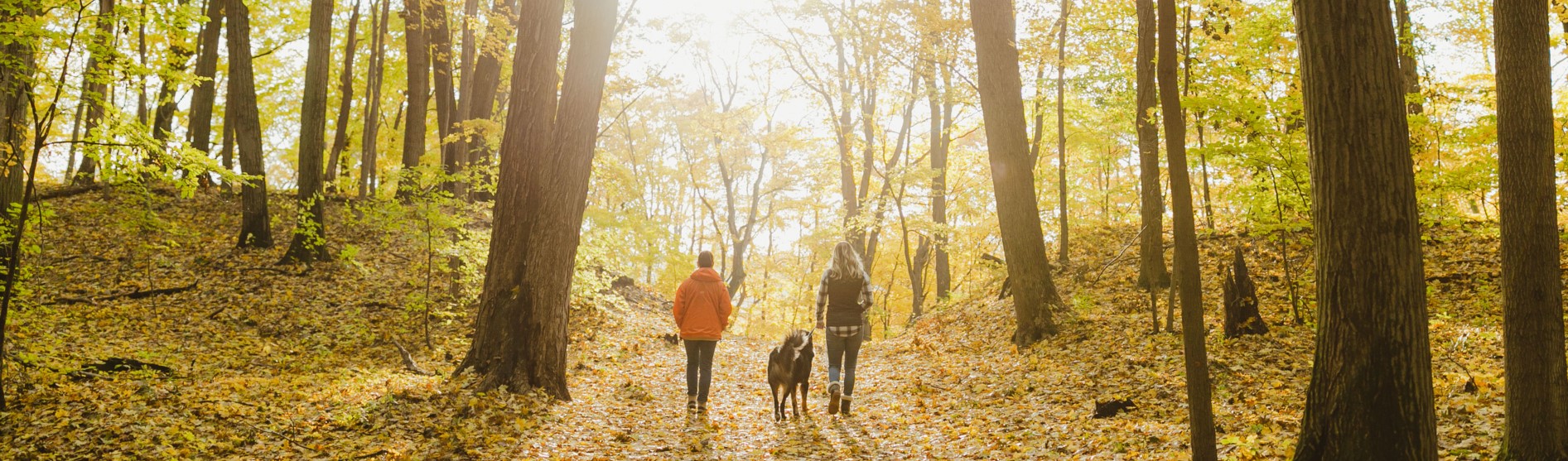 saugatuck hiking trail
