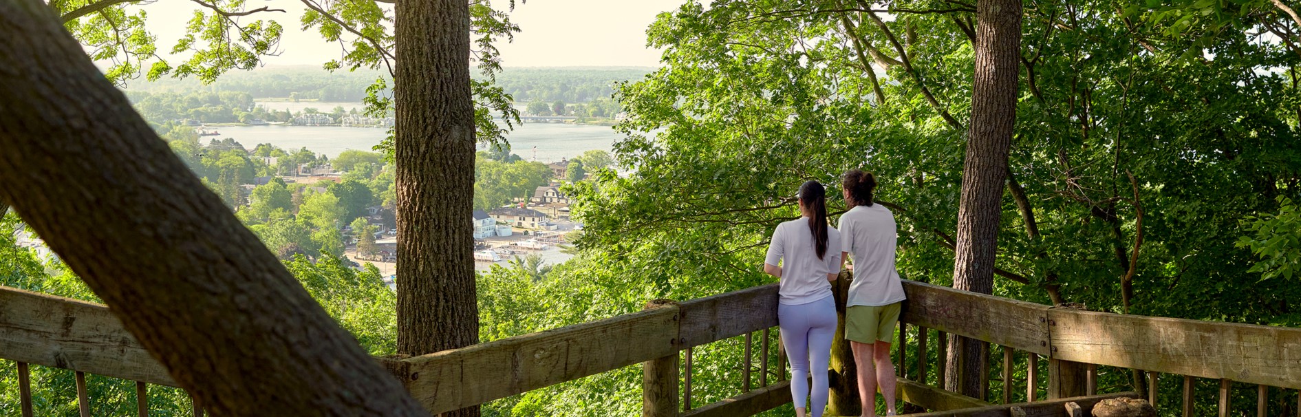 view from mt baldhead