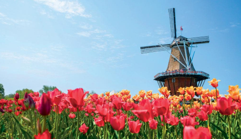 holland windmill